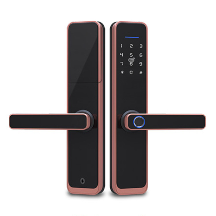 دستگیره هوشمند هوم لاک تویا مدل E100 رز گلد