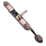 قفل هوشمند کلاسیک هوم لاک مدل C200